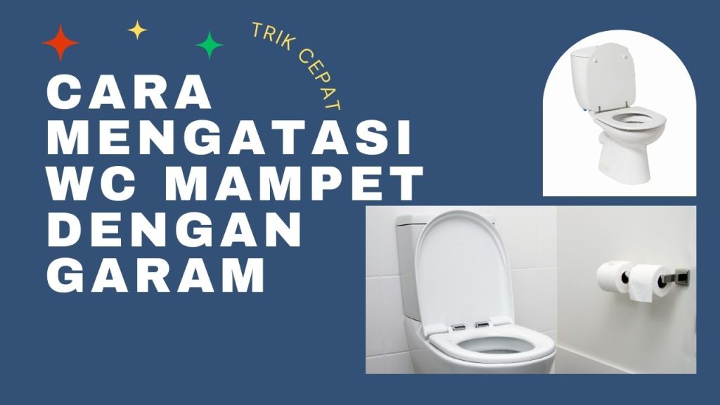 Cara Mengatasi Wc Mampet Dengan Garam