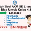 Contoh Soal AKM SD Literasi dan Jawabannya Bisa Untuk Kelas 4,5,6