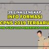 Info CPNS 2019