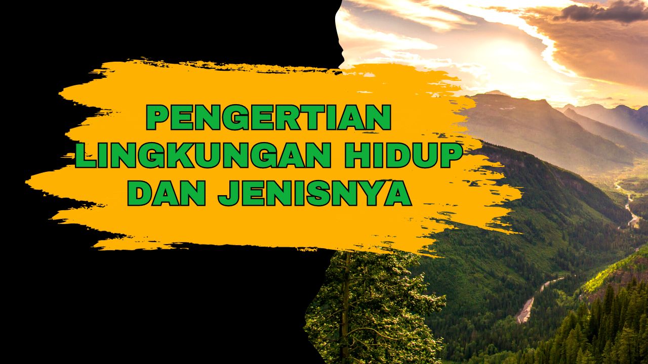 Pengertian Lingkungan Hidup Dan Jenisnya