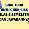 SOAL UAS UKK PJOK KELAS 5 SEMESTER 2 DAN KUNCI JAWABAN