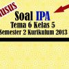 Soal IPA Tema 6 Kelas 5