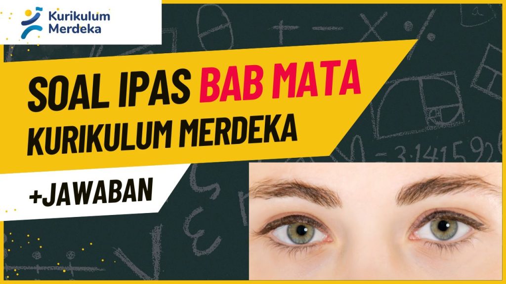 Soal IPAS Bab Mata Kurikulum Merdeka dan Jawabannya