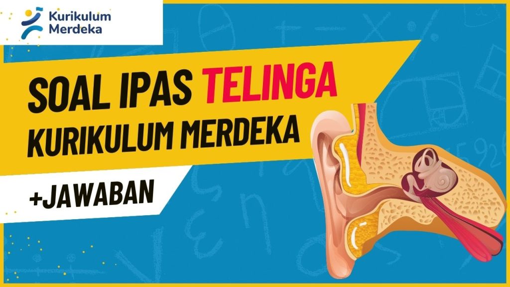 Soal IPAS Bab Telinga Kelas 5 Kurikulum Merdeka dan Jawabannya