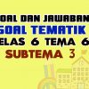 Soal Kelas 6 Tema 6 Menuju Masyarakat Sejahtera