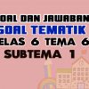 Soal Kelas 6 Tema 6 Subtema 1