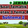 Soal Tematik Kelas 3 Tema 4 Subtema 2 Dan Kunci Jawaban