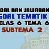 Soal Tematik Kelas 6 Tema 6 Subtema 2