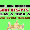 Soal Tematik UTS Tema 6 Kelas 6