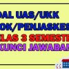 Soal UKK PJOK Kelas 3 Semester 2 Dan Kunci Jawaban