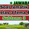 Soal Ulangan Harian Kelas 3 Tema 4 Subtema 3 Dan Jawabannya