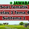 Soal Tematik Kelas 3 Tema 4